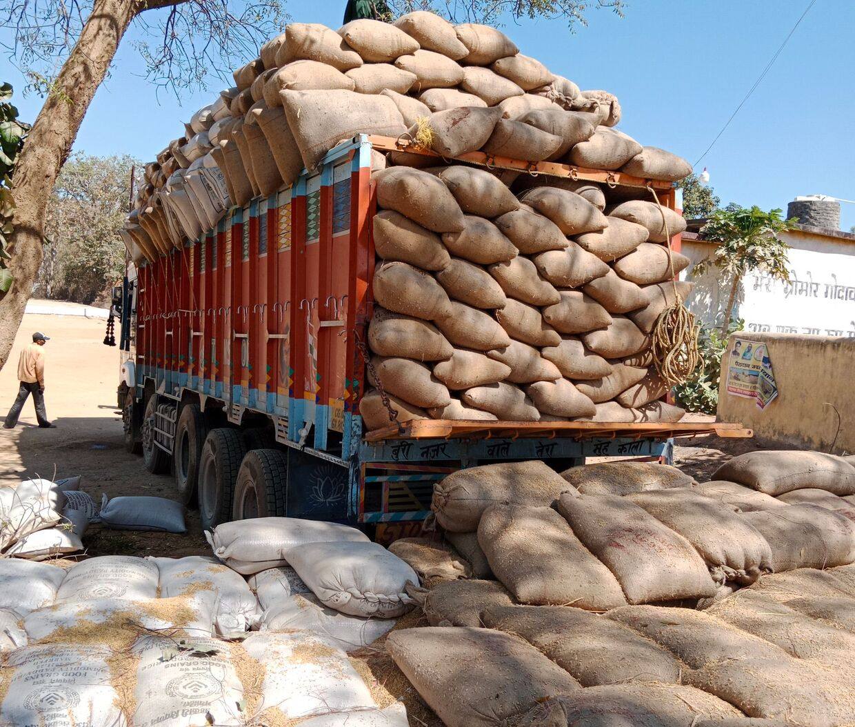 A truck loaded with jute sacks of grain beside more sacks at a mandi yard