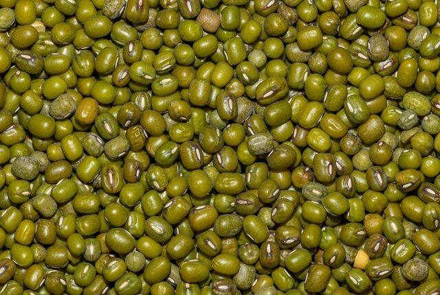 Cleaned whole green gram, close up