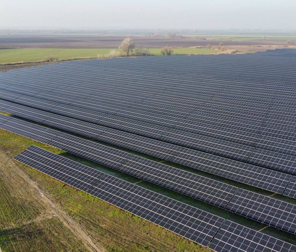 Rows of ground-mounted solar panels across a large open-access solar plant