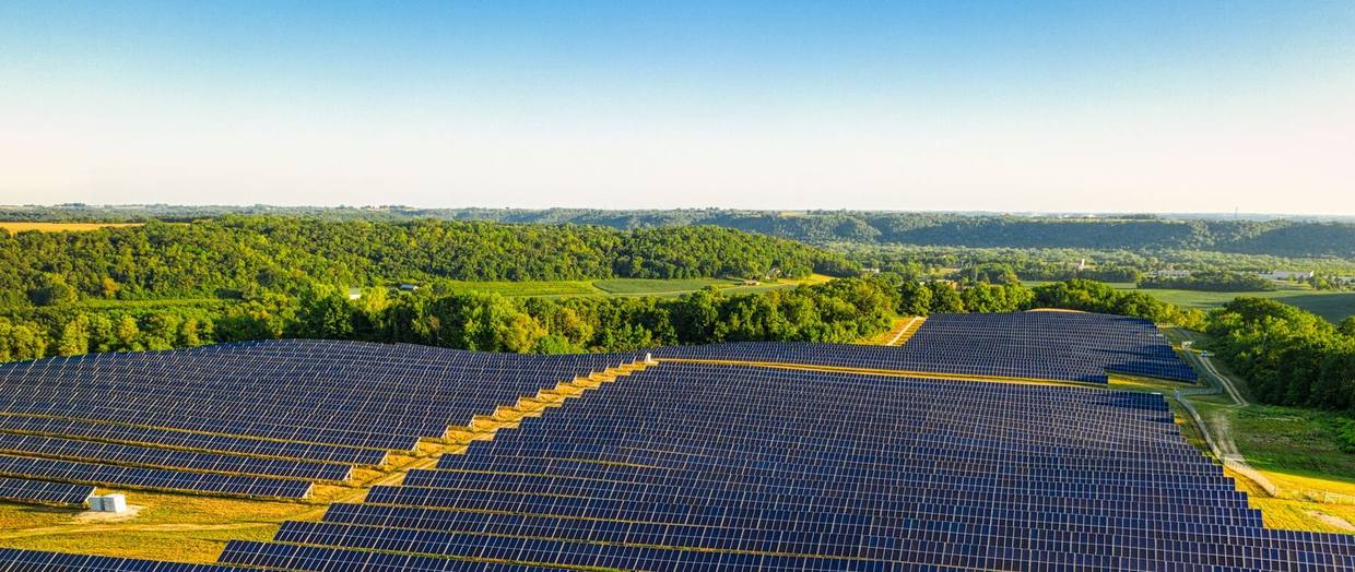 Long rows of solar panels stretching across farmland at golden hour