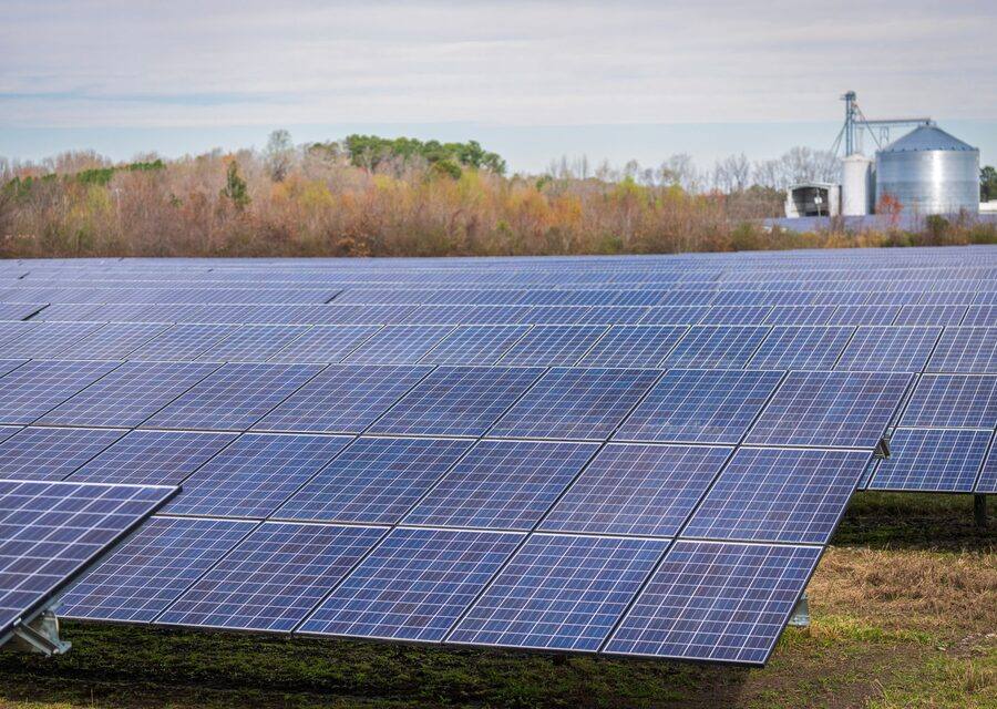 Ground-mounted solar modules in a row at an open access solar plant