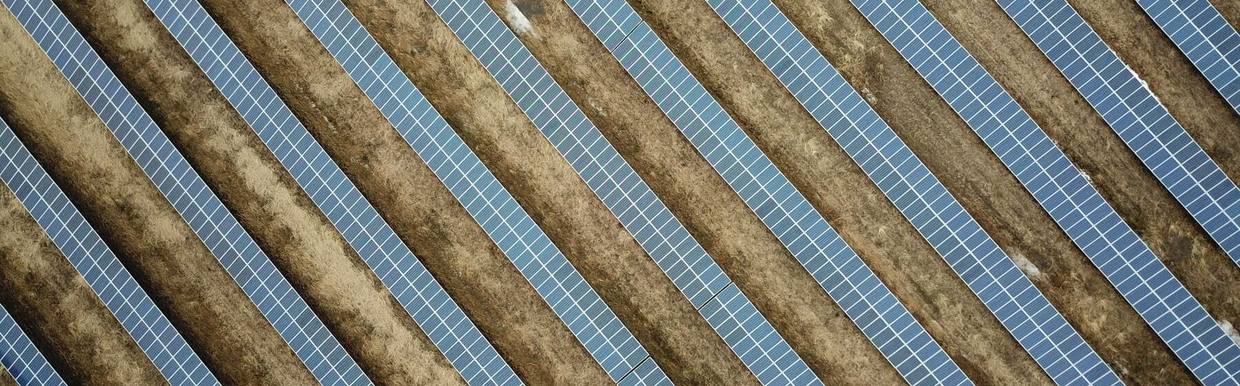 Overhead view of long parallel rows of solar panels across open ground